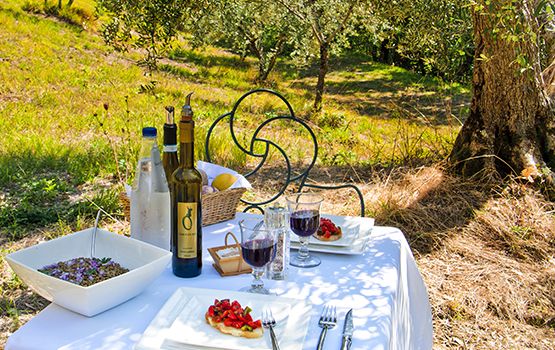 Apéritif en pleine nature avec produits et les vins du terroir. Bio tourisme vert à la ferme Gaiattone Assise, Ombrie, Italie