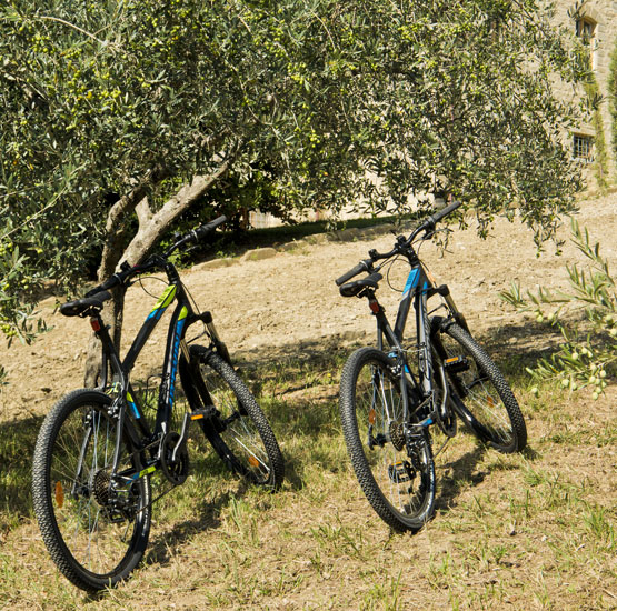 Tourisme vert en Ombrie: VTT, mountain bike, circuits à vélo. Appartements de vacances Assise Gaiattone Italie