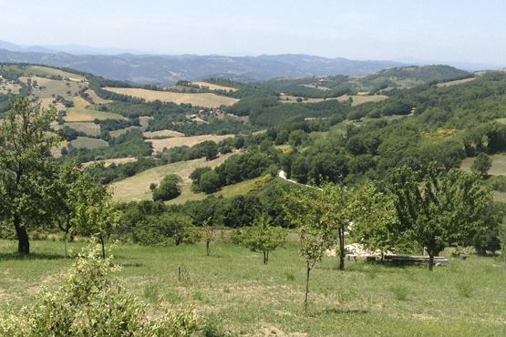 Passeggiata mattutina in campagna all'Agriturismo Gaiattone sulle colline di Assisi. Turismo rurale in Umbria