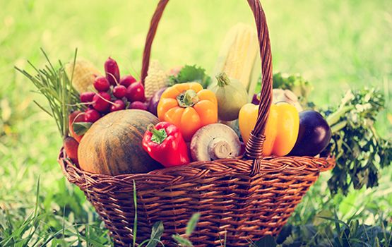 Cestino da picnic: salumi, formaggi, pane, legumi bio, frutta fresca. Agriturismo Gaiattone Assisi, Umbria, Italia
